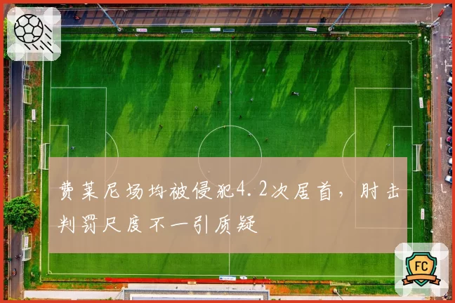 费莱尼场均被侵犯4.2次居首，肘击判罚尺度不一引质疑